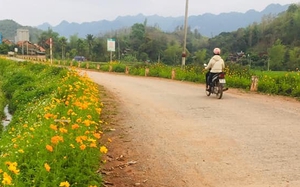 Yêu Châu: Đồng lòng xây dựng nông thôn mới