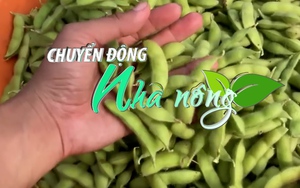 Chuyển động Nhà nông 12/10: Bắc Giang xuất khẩu thành công chuyến đậu tương đầu tiên sang Hoa Kỳ