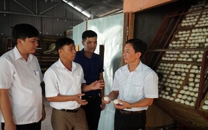 Cách nào một ông nông dân Việt Nam xuất sắc ở Bắc Giang bán được 450.000 quả trứng/tháng cho Samsung?