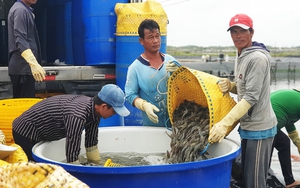 Bộ trưởng Lê Minh Hoan: Đóng góp kim ngạch xuất khẩu lớn nhưng ngành thủy sản không nên tự mãn
