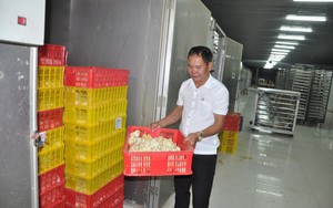 Nông dân Việt Nam xuất sắc 2022 ở Hà Nội nuôi gà bằng công nghệ mới thu về 50 tỷ đồng/năm