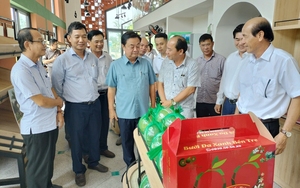 Bộ trưởng Lê Minh Hoan gợi ý tỉnh Bến Tre cần quan tâm đến thế mạnh sản xuất cây giống