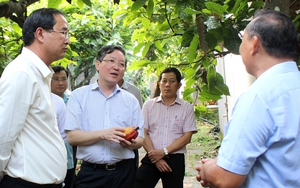 "Ý nghĩa của danh hiệu Nông dân Việt Nam xuất sắc không chỉ ở doanh thu tiền tỷ"