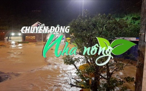 Chuyển động Nhà nông 15/10: Xuất hiện lũ quét, đóng cửa hầm Hải Vân để đảm bảo an toàn