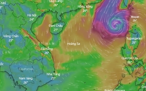Bão NESAT chính thức vào biển Đông và trở thành cơn bão số 6 năm 2022