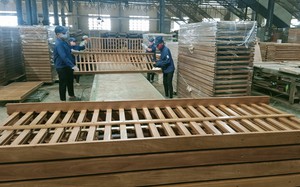 Tại sao Hiệp định VPA/FLEGT Việt Nam ký với EU nhưng lại tác động đến xuất khẩu gỗ sang Mỹ?