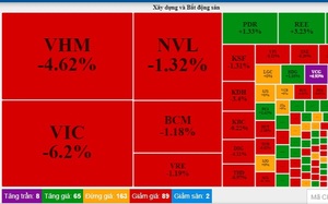 Cổ phiếu bất động sản giảm sâu, kéo VN-Index giảm 10,27 điểm