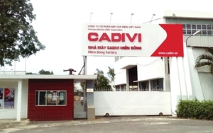 CADIVI (CAV): Chốt ngày tạm ứng cổ tức đợt 1 năm 2022 bằng tiền 20%