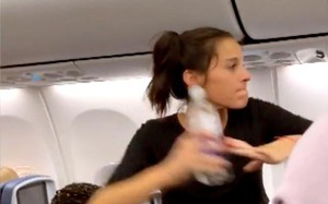 Nữ hành khách bị trục xuất vì &quot;thả rông&quot; chó trên máy bay