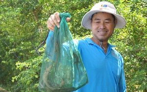 Cò trắng, một loài động vật hoang dã, chim hoang dã đang bay trắng đồng ở Tràm Chim của Đồng Tháp - Ảnh 7.