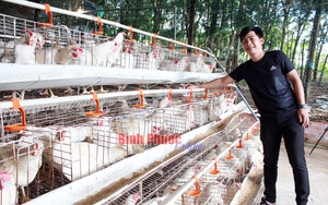 Trai trẻ nuôi 28.000 con gà đẻ sòn sòn, bán trứng đi khắp nơi, cả làng ở Bình Phước phục lăn