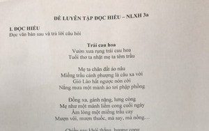 Cô giáo ra đề Văn khiến tác giả bài thơ phải thốt lên: "Tôi mà làm cũng lạc đề"