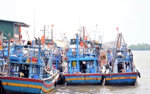 Bình Định lập đoàn công tác vào tận miền Nam khuyên ngư dân đánh bắt hải sản đúng quy định