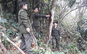 Kiểm lâm Thái Nguyên tăng cường công tác phòng cháy chữa cháy rừng trong mùa hanh khô