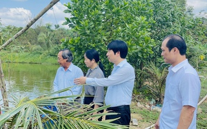Phó Chủ tịch Hội Nông dân Việt Nam ấn tượng với những mô hình tiền tỷ ở Đồng Nai