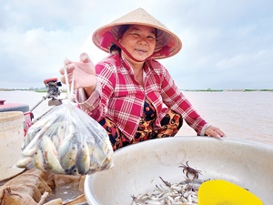 An Giang: Nghề mưu sinh &quot;ăn theo&quot; con nước, mang lại bao sản vật đặc sản có một không hai