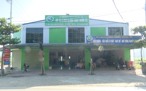 Phù Yên - Sơn La: Sản xuất nông nghiệp sạch, bền vững