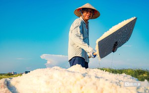 Nam Định: Đẹp mê hồn cảnh vựa muối khủng nhất miền Bắc tất bật vào mùa thu hoạch