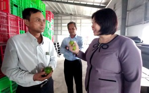 Xem nông dân trồng chanh xuất khẩu, Phó Chủ tịch Trung ương Hội NDVN tấm tắc khen bà con làm giàu giỏi