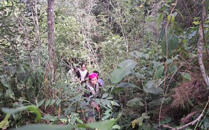 Chi trả dịch vụ môi trường rừng: Lợi đơn lợi kép ở xã vùng cao Lai Châu