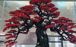 Xuất hiện những cây cảnh bonsai làm bằng dây đồng tại Hội chợ Làng nghề và sản phẩm OCOP Việt Nam 