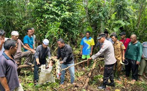 Trăn dài gần 7m nuốt chửng người phụ nữ Indonesia