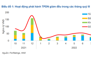 FiinGroup: Trái phiếu doanh nghiệp sẽ tăng mạnh trở lại vào năm sau