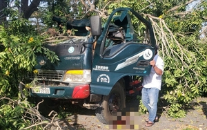 Bình Thuận: Cây xà cừ đổ đè chết tài xế xe tải đang chạy trên đường