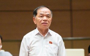 ĐBQH Lê Thanh Vân: Cần có chính sách khoan dung cho doanh nhân "ăn năn hối cải", "sẵn sàng lập công chuộc tội"