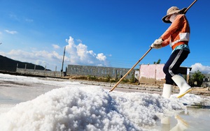 60 diêm dân, HTX, cán bộ quản lý dự tập huấn kiến thức, kỹ thuật sản xuất muối sạch ở Bình Định - Ảnh 7.