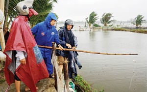Đưa cá tôm “đi qua” những mùa vượt lũ an toàn ở Thừa Thiên Huế