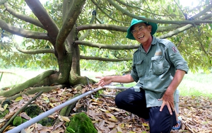 Nông dân Việt Nam xuất sắc 2022 đến từ Tây Ninh là tỷ phú trồng sầu riêng, tre Đài Loan bán măng đếm không xuể