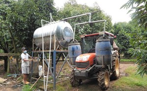 Nông dân ở Bình Phước "hô biến" máy cày thành máy phun thuốc đa năng cho vườn sầu riêng tiền tỷ