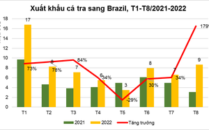 Xuất khẩu cá tra sang Brazil tăng kỷ lục nhờ lý do này