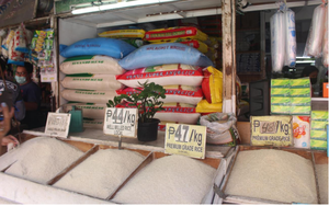 Gạo Việt &quot;đánh bại&quot; gạo Thái, tạo vị thế vững chắc tại thị trường Philippines