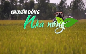 Chuyển động Nhà nông 7/10: Việt Nam đang dẫn đầu giá xuất khẩu gạo 5% và 25% tấm