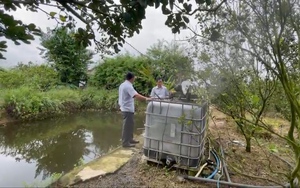Gom rác thải nông nghiệp ủ với IMO, nông dân Đồng Nai có “trăm ngàn cái lợi”