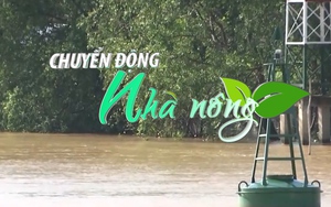 Chuyển động Nhà nông 9/10: Đỉnh lũ đầu nguồn sông Cửu Long sẽ xuất hiện trong vài ngày tới