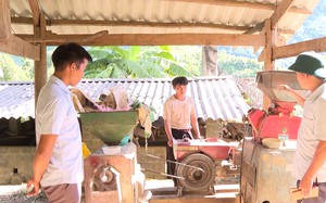 Lai Châu phát triển các mô hình kinh tế mới, chuyển đổi cây trồng giúp người dân phát triển kinh tế, giảm nghèo bền vững