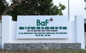 BaF Việt Nam (BAF) muốn phát hành 600 tỷ đồng trái phiếu riêng lẻ