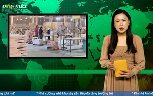 Bản tin Dân Việt Nóng ngày 13/11: 1.000 tỷ đồng chưa được hoàn thuế VAT, doanh nghiệp ngành gỗ kiến nghị khẩn 