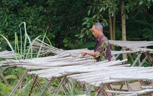 Hóa giải thách thức chứng minh nguồn gốc gỗ: Đau đầu giảm đơn hàng, doanh nghiệp thêm nỗi lo hoàn thuế VAT (bài 1)