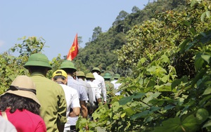 Quảng Bình: Ban Quản lý Rừng phòng hộ Quảng Ninh &quot;nợ&quot; tiền công thuê bảo vệ rừng của nông dân