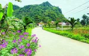 Con đường hoa nông thôn mới kiểu mẫu đẹp như tranh ở một xã tận Hà Giang
