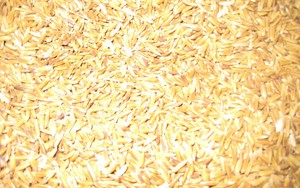Đây là cách nhận biết loại gạo đặc sản tên nghe mĩ miều ở vùng Bảy Núi của An Giang, tránh mua phải hàng nhái