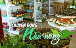 Chuyển động Nhà nông 19/11: Sắp diễn ra Hội thi Tinh hoa văn hóa ẩm thực Thái Nguyên 2022