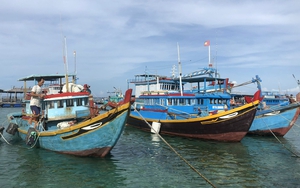 Bình Thuận: Kiên quyết chấm dứt tình trạng tàu cá và ngư dân vi phạm vùng biển nước ngoài 