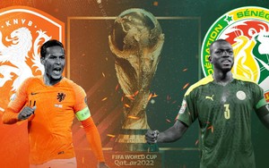 Hà Lan vs Senegal sẽ là trận đấu nhiều phạt góc?