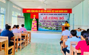 Nông dân Bình Thuận phấn chấn khi sầu riêng Đa Mi chính thức xuất khẩu sang thị trường Trung Quốc