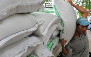 Là cường quốc xuất khẩu gạo, Việt Nam vẫn mua lượng gạo khổng lồ từ Campuchia, Ấn Độ để làm gì?